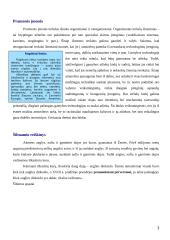 Oras, jo tarša bei apsauga 3 puslapis