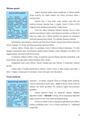 Oras, jo tarša bei apsauga 4 puslapis