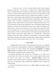 Oro tarša Šiauliuose 2 puslapis