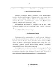 Oro tarša Šiauliuose 12 puslapis