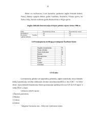 Oro tarša Šiauliuose 13 puslapis