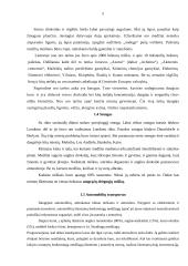 Oro tarša Šiauliuose 4 puslapis