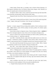 Oro tarša Šiauliuose 6 puslapis