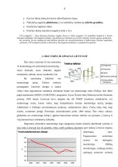 Oro tarša Šiauliuose 7 puslapis