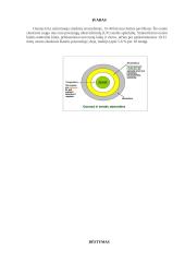 Ozono sluoksnio plonėjimas 2 puslapis