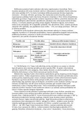 Ozono sluoksnio plonėjimas 6 puslapis