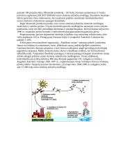 Ozono sluoksnio plonėjimas 7 puslapis