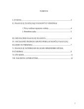 Paauglių elgesio sutrikimai ir jų sprendimo būdai 2 puslapis