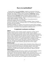 Paauglių narkomanija 3 puslapis