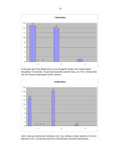 Paauglių nuostatos apie prievartą 14 puslapis
