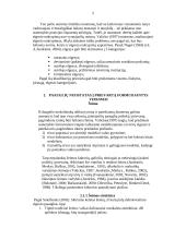 Paauglių nuostatos apie prievartą 5 puslapis