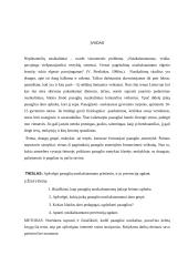 Paauglių nusikalstamumo priežastys 2 puslapis