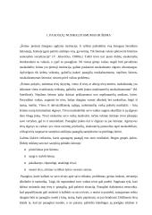 Paauglių nusikalstamumo priežastys 3 puslapis