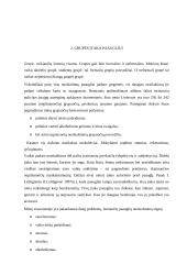 Paauglių nusikalstamumo priežastys 5 puslapis