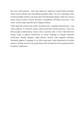 Paauglių nusikalstamumo priežastys 6 puslapis