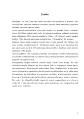 Paauglių savižudybės 2 puslapis