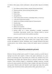 Paauglių savižudybės 5 puslapis