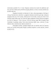 Paauglių sveikata 4 puslapis