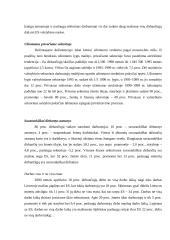 Padėtis darbo rinkoje ir užimtumas 4 puslapis