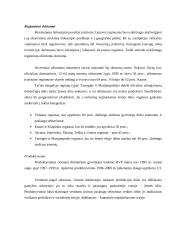 Padėtis darbo rinkoje ir užimtumas 5 puslapis