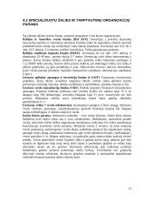 Pagalba pradedantiems verslininkams 13 puslapis