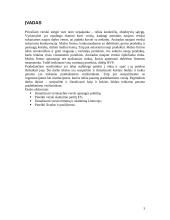 Pagalba pradedantiems verslininkams 3 puslapis