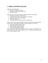 Pagalba pradedantiems verslininkams 4 puslapis