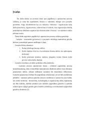 Pagalbinių ir aptarnaujamų procesų valdymas