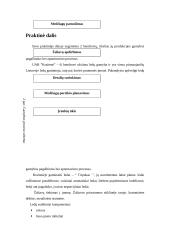 Pagalbinių ir aptarnaujamų procesų valdymas 11 puslapis