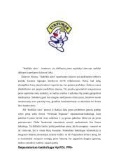 Pagalbinių ir aptarnaujamų procesų valdymas 13 puslapis