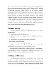 Pagalbinių ir aptarnaujamų procesų valdymas 3 puslapis