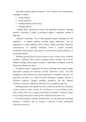 Pagalbinių ir aptarnaujamų procesų valdymas 5 puslapis