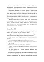 Pagalbinių ir aptarnaujamų procesų valdymas 7 puslapis