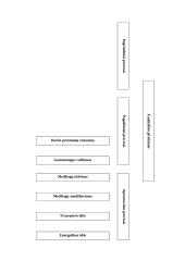 Pagalbinių ir aptarnaujamų procesų valdymas 10 puslapis