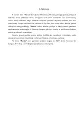 Pagrindinės logistikos sistemos: UAB "Rovisa" 2 puslapis