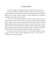 Pagrindinės logistikos sistemos: UAB "Rovisa" 4 puslapis