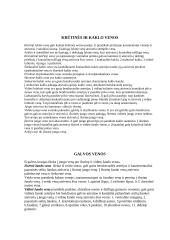 Pagrindinės organizmo venos ir paviršiniai limfmazgiai 3 puslapis