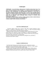 Pagrindinės organizmo venos ir paviršiniai limfmazgiai 6 puslapis