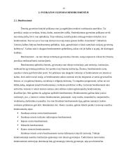 Pagrindinės sveikatos ugdymo kryptys miesto bendruomenėje 13 puslapis