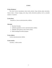 Pagrindiniai makroekonomikos rodikliai Lietuvoje 3 puslapis