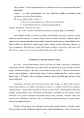 Pagrindiniai makroekonomikos rodikliai. Bankų sistemos. Bankininkystės problemos 13 puslapis