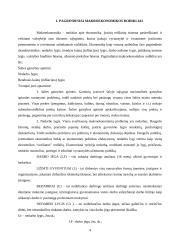 Pagrindiniai makroekonomikos rodikliai. Bankų sistemos. Bankininkystės problemos 4 puslapis