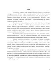 Pagrindiniai postmodernių socialinių teorijų bruožai 2 puslapis