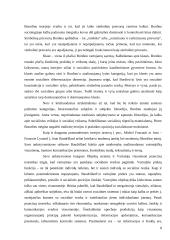 Pagrindiniai postmodernių socialinių teorijų bruožai 8 puslapis