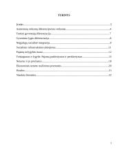 Pajamų nelygybė, gyvenimo lygis 2 puslapis