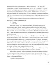 Pajamų nelygybė, gyvenimo lygis 13 puslapis