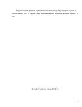 Pajamų nelygybė, gyvenimo lygis 17 puslapis