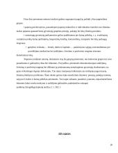 Pajamų nelygybė, gyvenimo lygis 20 puslapis