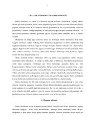 Pajamų nelygybė. Pajamų nelygybės reguliavimas 2 puslapis