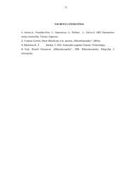 Pajamų nelygybė. Pajamų nelygybės reguliavimas 11 puslapis